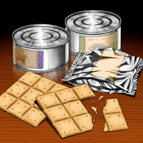 File:EmergencyProvisions-TF04-JP-VG.jpg