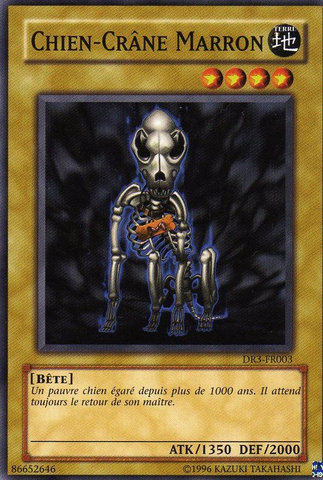File:SkullDogMarron-DR3-FR-C-UE.png