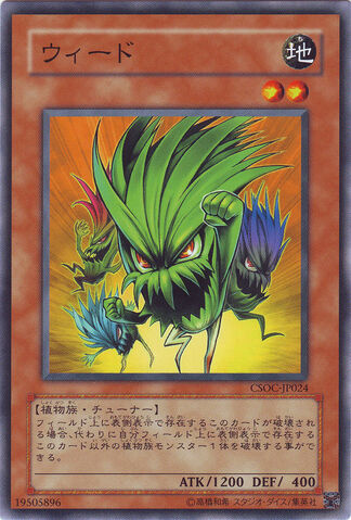 File:Nettles-CSOC-JP-C.jpg