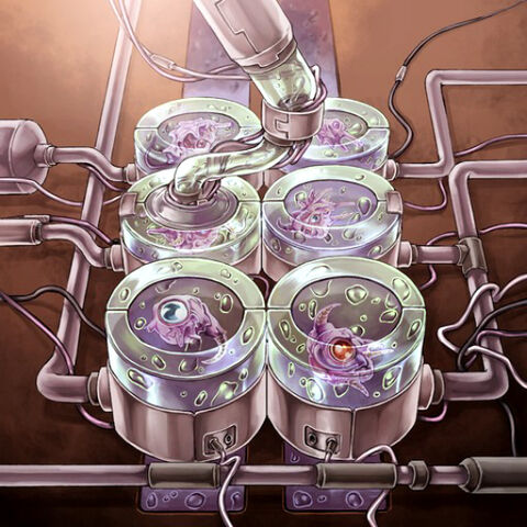 File:ACellIncubator-TF04-JP-VG.jpg