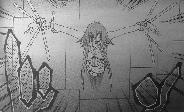 File:Sacrifice Aki.png