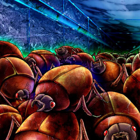 File:SwarmofScarabs-TF04-JP-VG.jpg