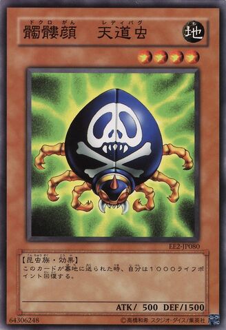 File:SkullMarkLadybug-EE2-JP-C.jpg