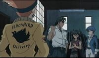 Blackbird delivery