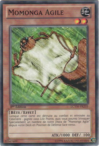 File:NimbleMomonga-LCYW-FR-C-1E.png