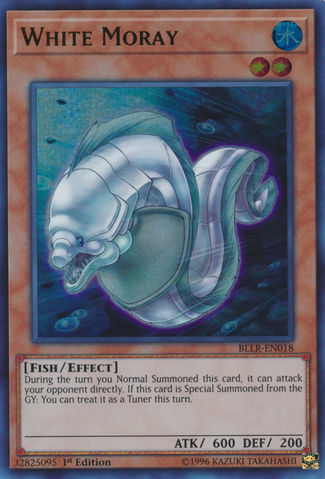 File:WhiteMoray-BLLR-EN-UR-1E.png