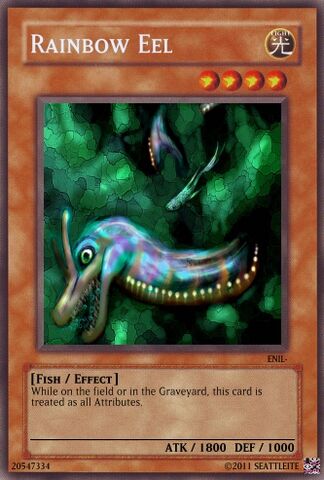 File:Rainbow Eel.jpg