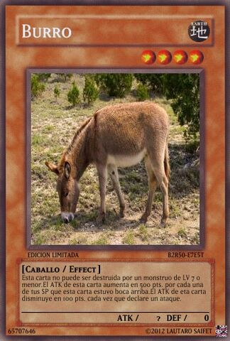 Archivo:Burro.jpg