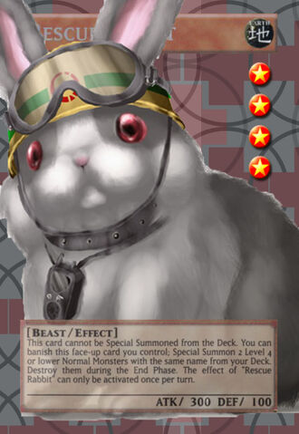 File:RescueRabbit-1 - Copy.jpg