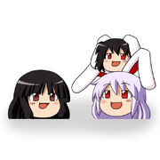 Teruyo-and-Rabbits