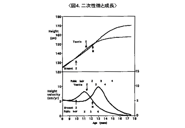 File:Human height.gif