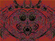 Yn-face