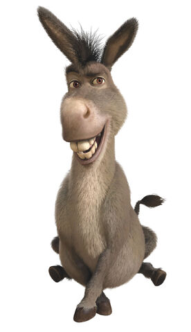 File:Donkey.jpg