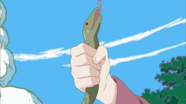 Datei:Vlcsnap-2012-08-28-17h01m55s82.png