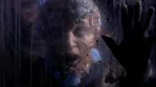 ZNation gallery 301Recap 08-1030x579