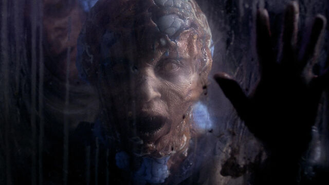 File:No Mercy 008.jpg
