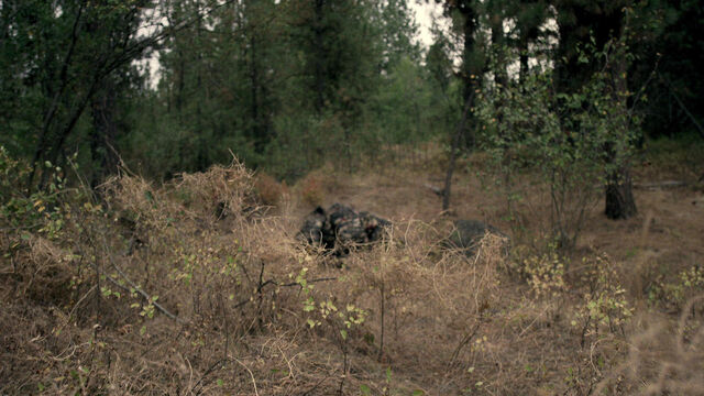 File:Z Nation-gallery-305recap-11.jpg