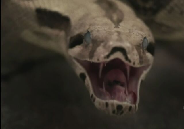 File:Zombie snake.jpg