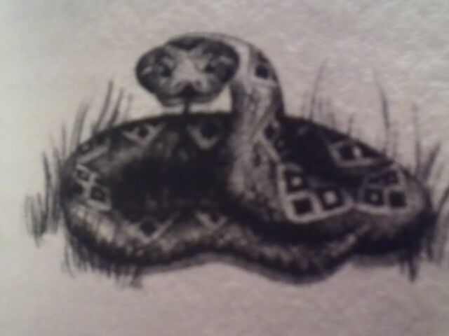 File:War snake.jpeg