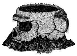 Gargyllener Bollogschädel.jpg