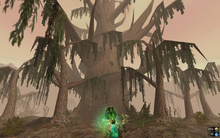 The great tree