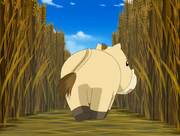 Ponygon perdido