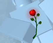 BorlorsRose