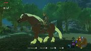 Epona BoTW.jpg