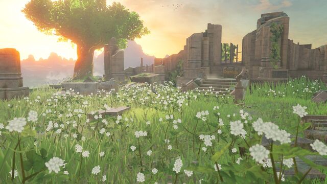 File:BreathOfTheWild-Screen04.jpg