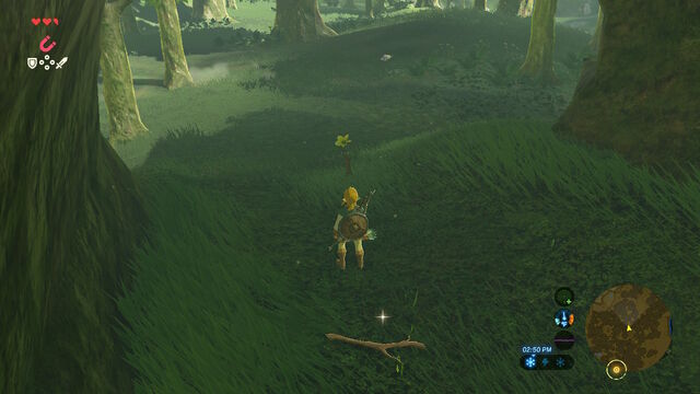File:Forest of Spirits.jpg