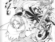 Raven fighting Veran