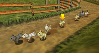 Dogs Racing