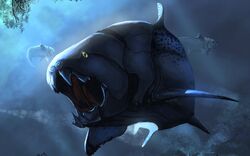 Bark Fish
