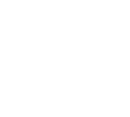 File:UNB 3.png