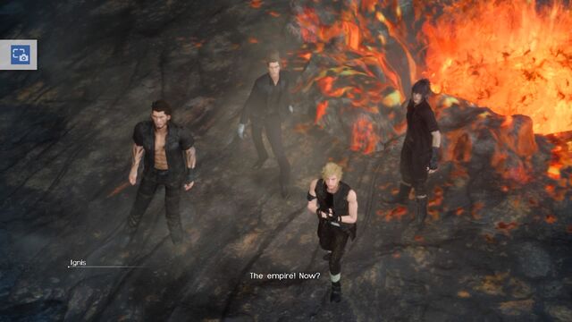 File:FF (1205).jpg