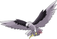 Kestrel