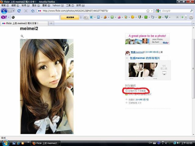 檔案:Flickr authorize.jpg
