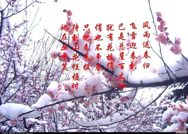File:1325687537554.jpg