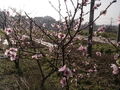 2013年4月9日 (二) 16:57的版本的缩略图