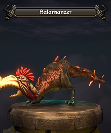 Salamander