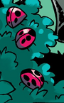 Baby lady bugs