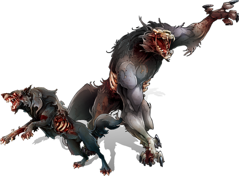 WB-Wolves