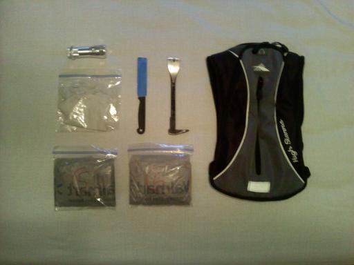 File:Downsized 1201031117.jpg