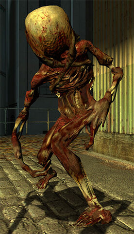 File:Fast headcrab zombie.jpg