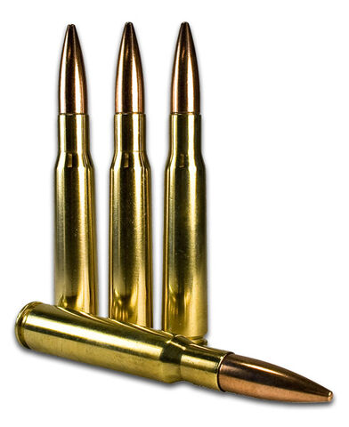 File:.50 BMG.jpg