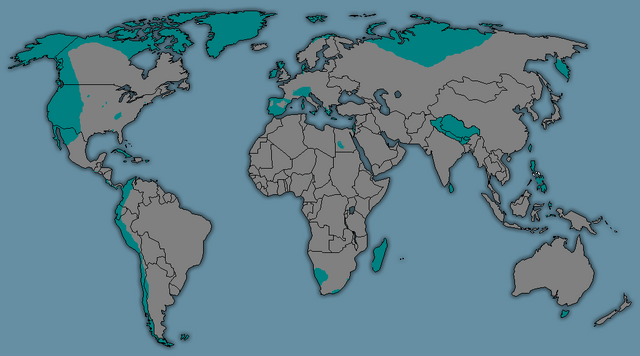 File:Safezonepic.png
