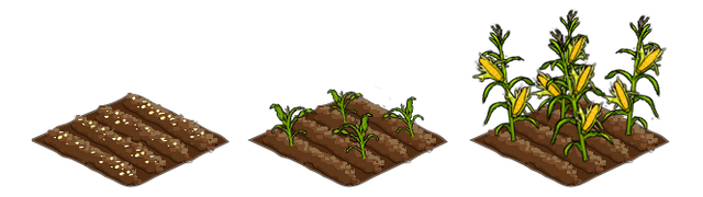 File:Corn stages.png