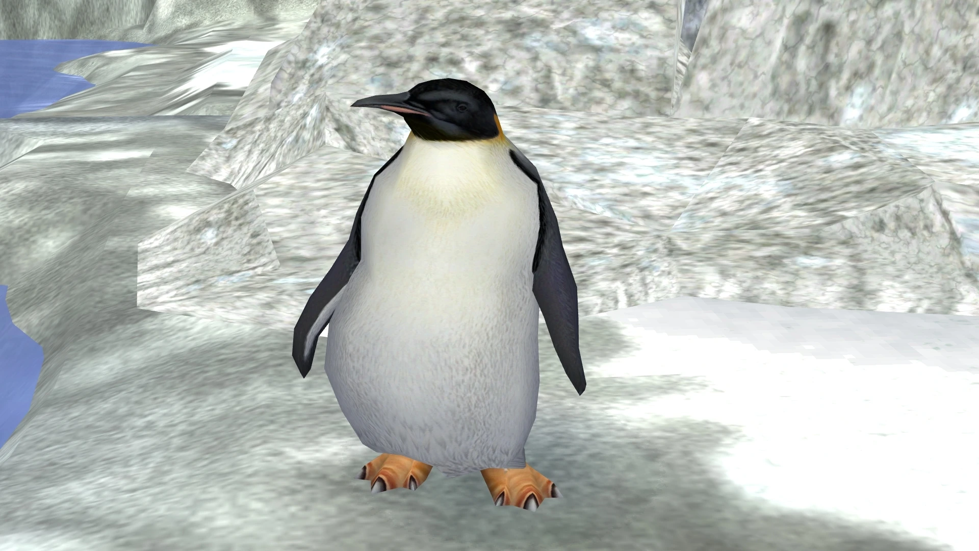 Emperor Penguin | Zoo Tycoon 2 Wikia | FANDOM powered by Wikia