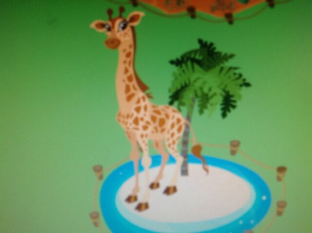 File:Giraffe.jpg