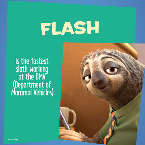 File:Flash info.jpg
